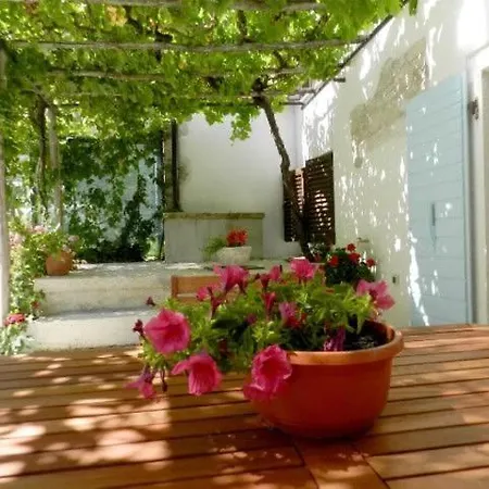 House Elena